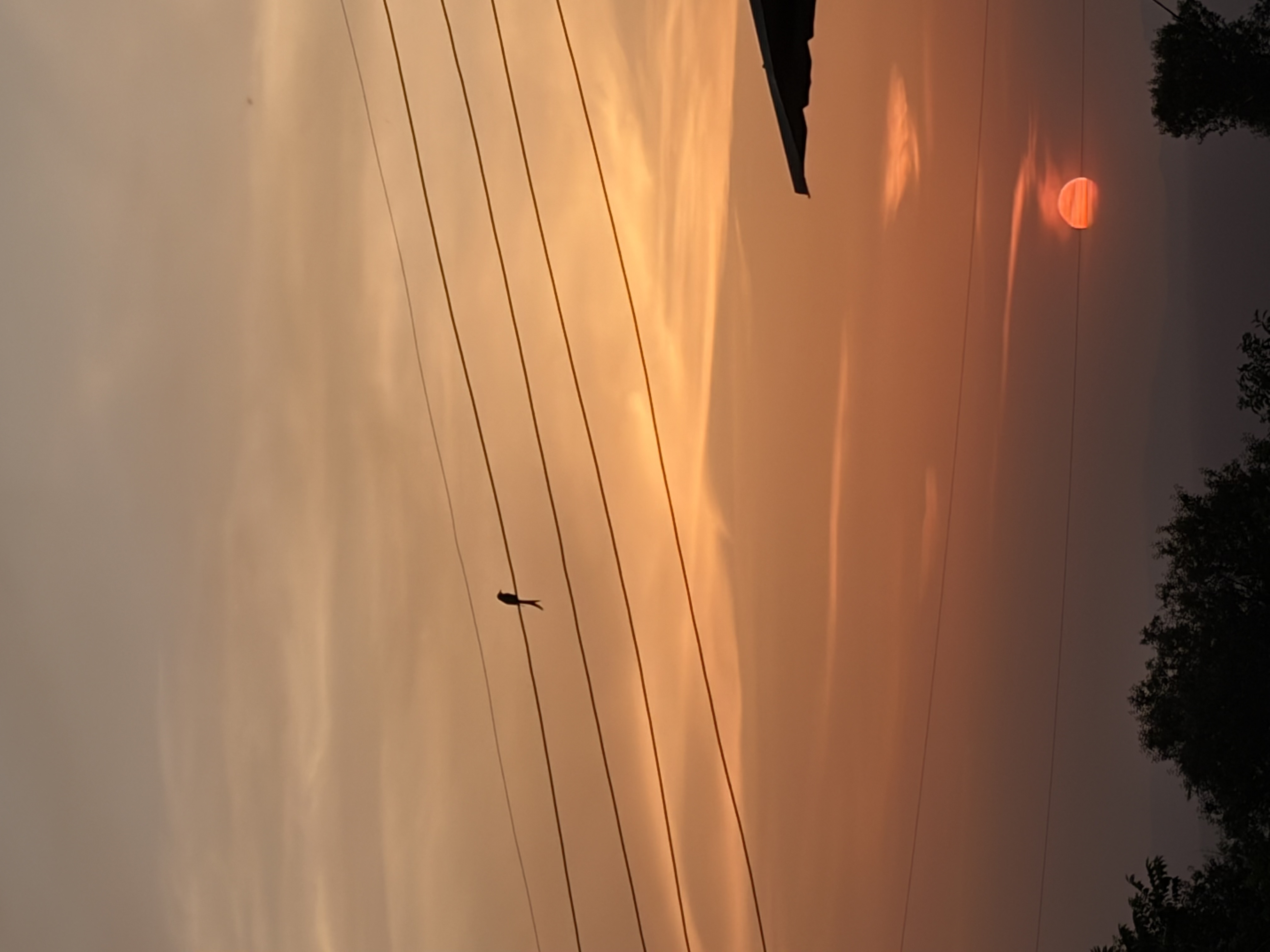 View from Aahista Stays terrace